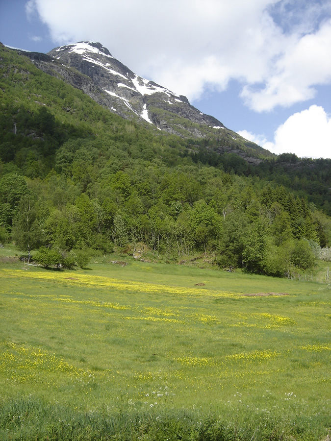Åsenuten with spring meadows below - © Anne Gullbjørg Digranes