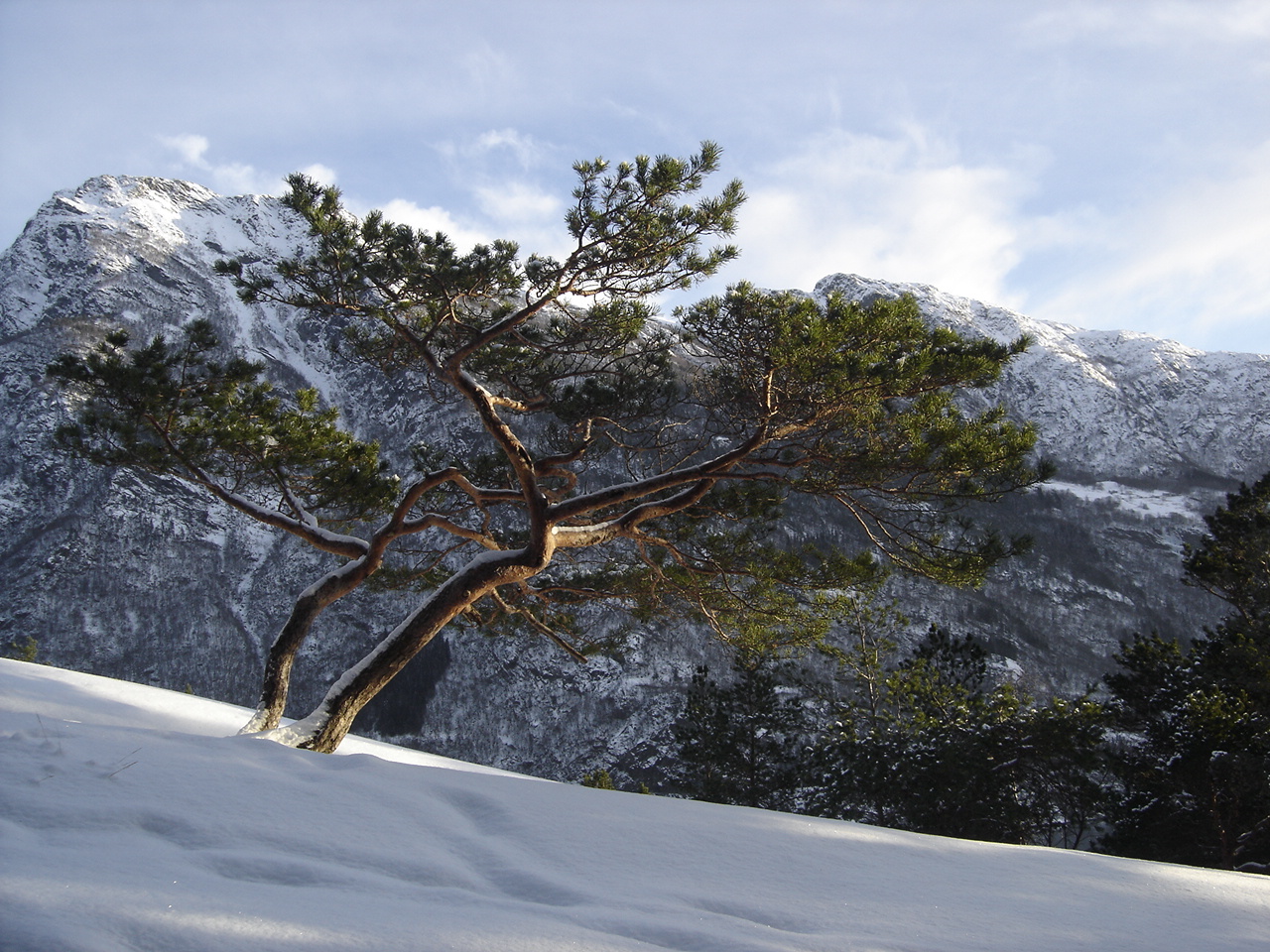 View from Kyrkjehaug toward Isberg. © Anne Gullbjørg Digranes