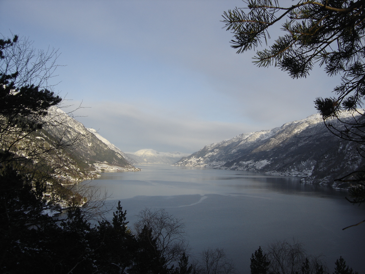 Sørfjorden sett frå Kyrkjehaug. © Anne Gullbjørg Digranes
