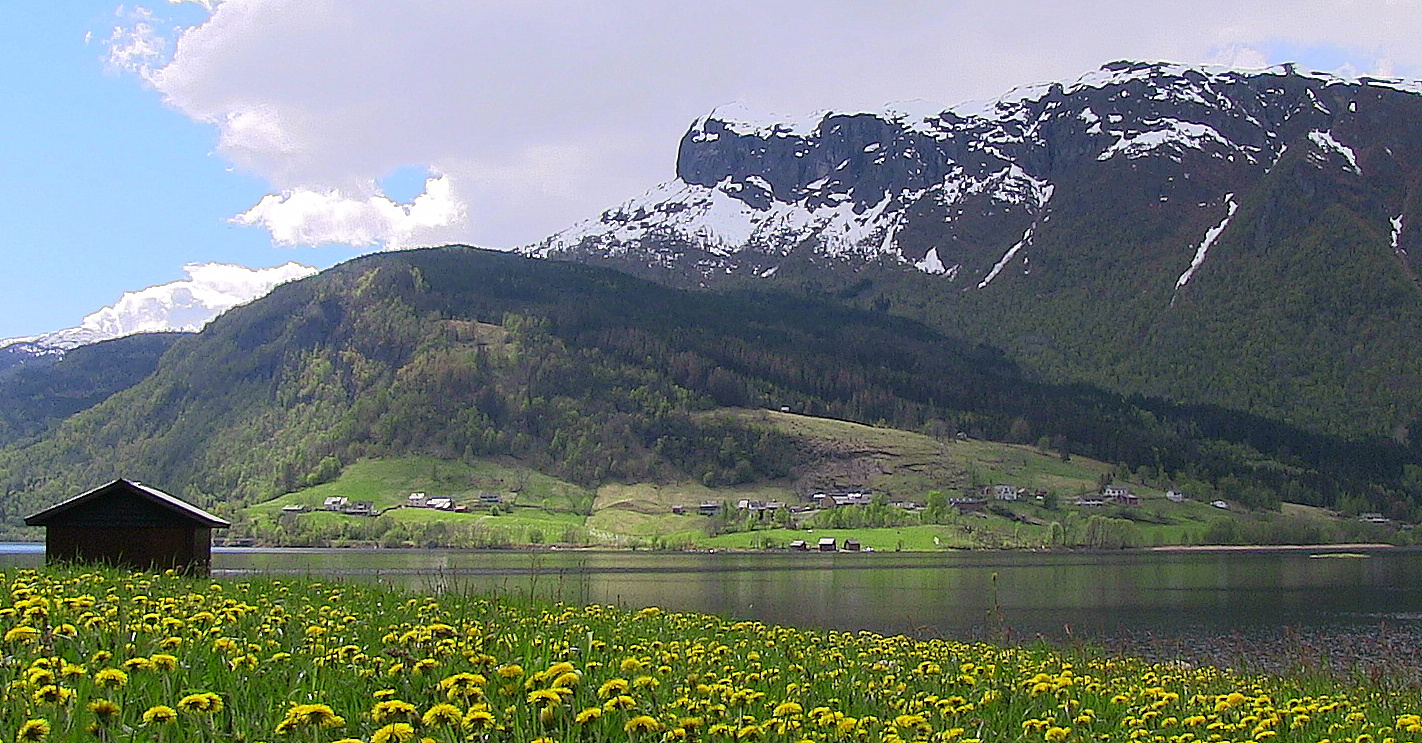 Nesheim as seen from Hollve. © Anne Gullbjørg Digranes